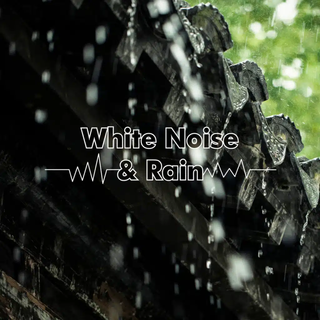 White Noise & Rain
