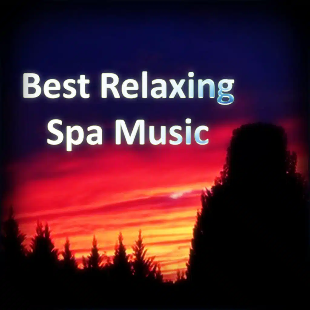 Secret Zen Garden, Goodnight Sleep & Quiet Moments