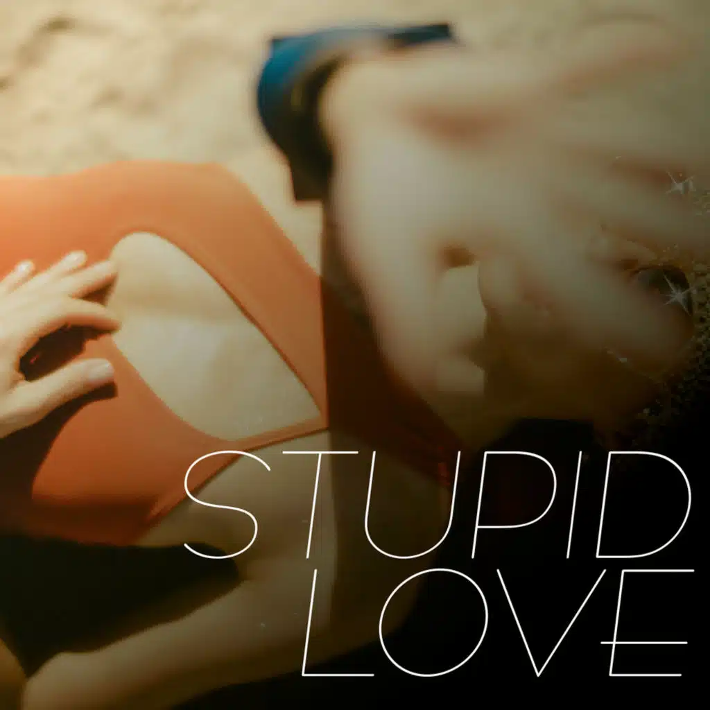 Stupid Love