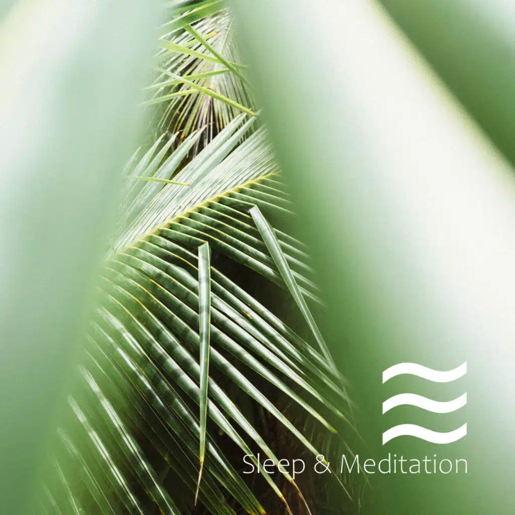 La Collecion de Sonidos Suaves Para Concentración Mejor, Dormir Rapido y Meditación Profundamente