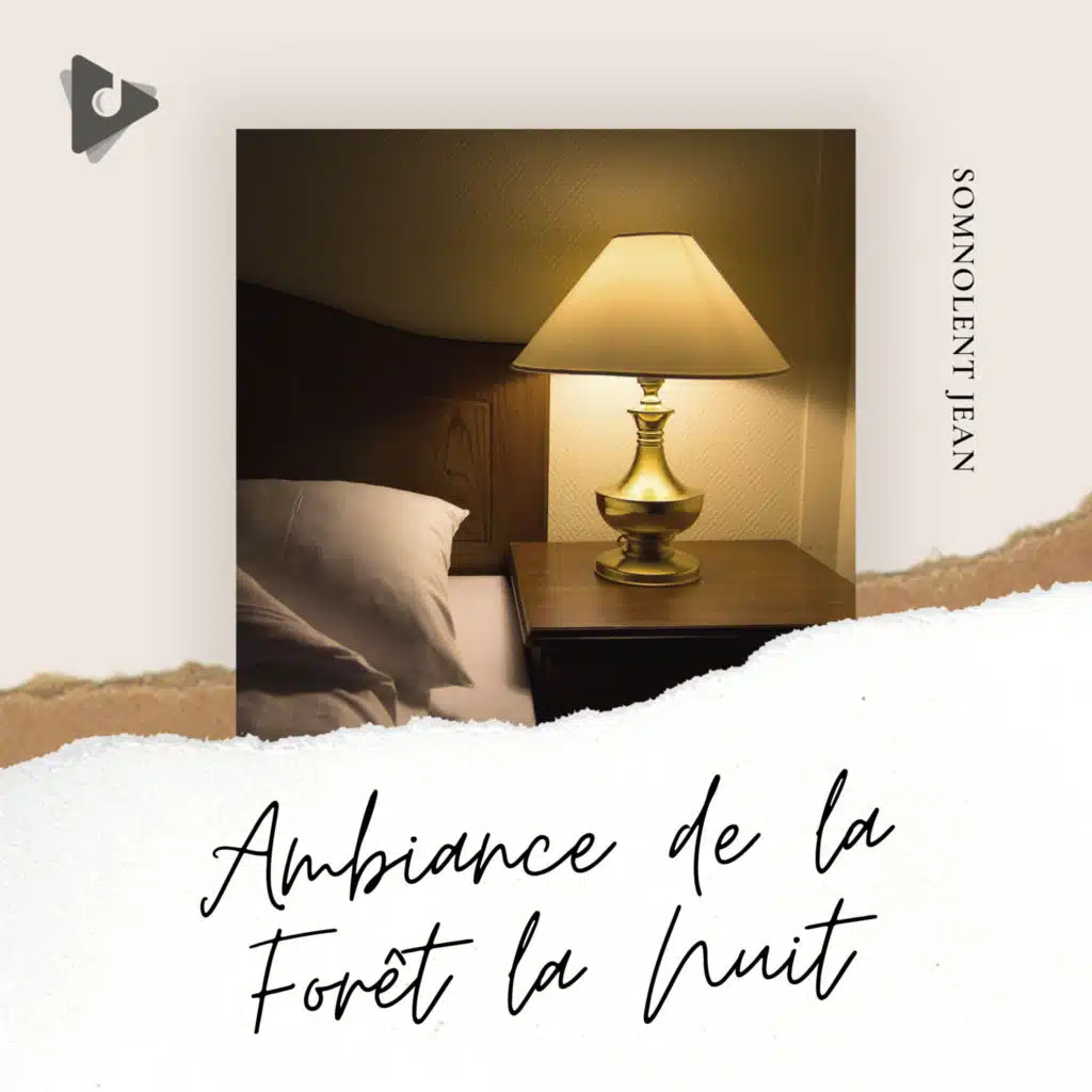 Ambiance de la Forêt la Nuit