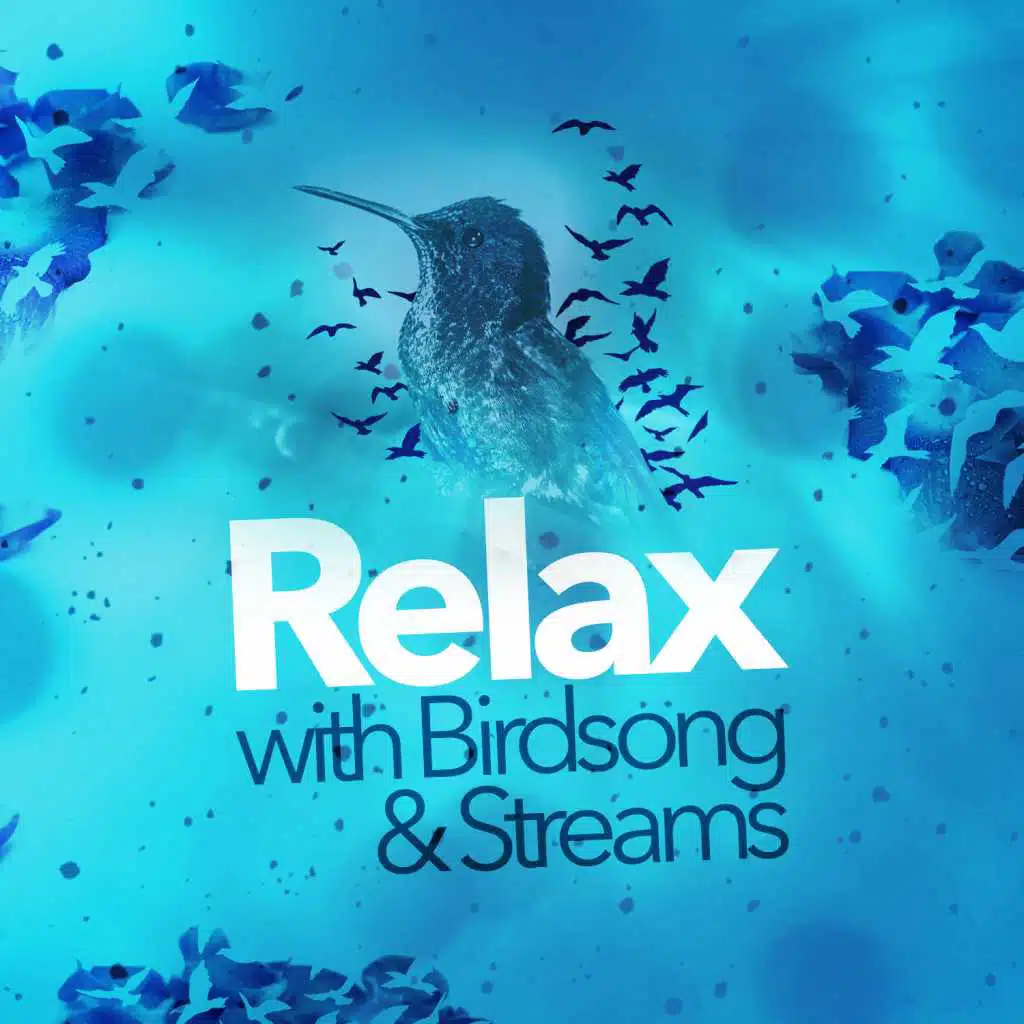 Relax with Birdsong & Streams