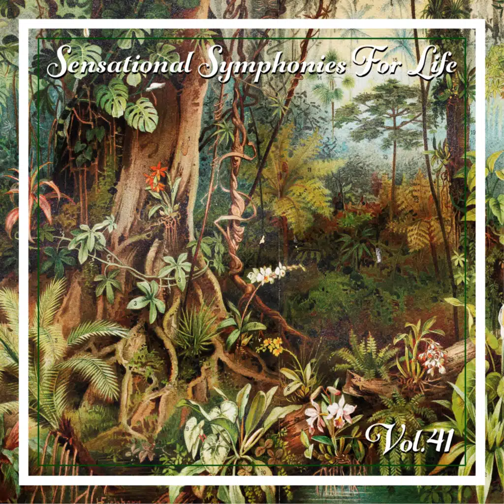 Boyce: Symphony No. 2 in A Major - 3. Presto Allegro