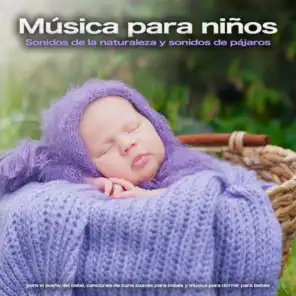 Canciones de cuna para bebés, Musica para Bebes Especialistas, MÚSICA PARA NIÑOS