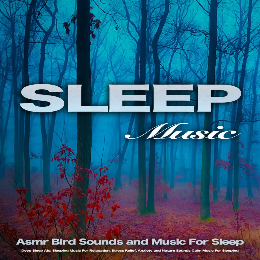 Sleep Music: Asmr Bird Sounds and Music For Sleep, Deep Sleep Aid, Sleeping Music For Relaxation, Stress Relief, Anxiety and Nature Sounds Calm Music For Sleeping