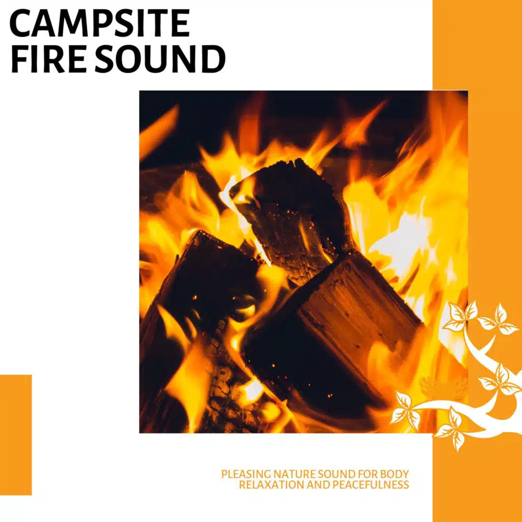 Forest Fire and Crickets Noise