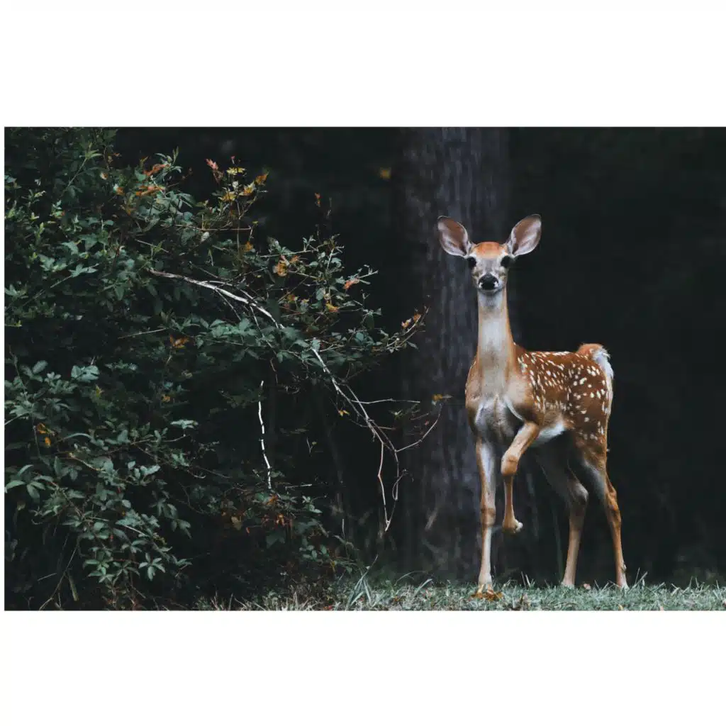 لولا الصليب من انا