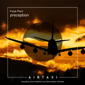 Perception (Ivan Endarov Remix)