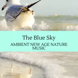The Blue Sky - Ambient New Age Nature Music