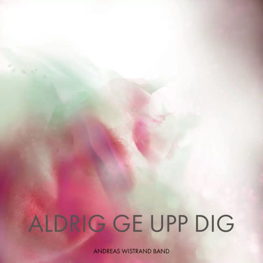 Aldrig Ge Upp Dig (Radio Edit)