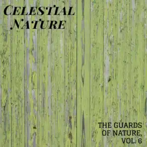 Celestial Nature - The Guards of Nature, Vol. 6