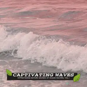 Captivating Waves - Hypnotising Nature Sounds of Ocean Waters, Vol.1