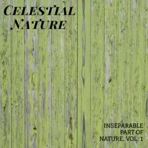 Celestial Nature - Inseparable Part of Nature, Vol. 1