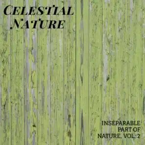 Celestial Nature - Inseparable Part of Nature, Vol. 2