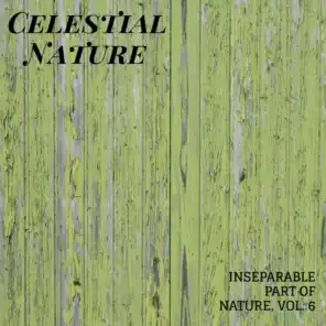 Celestial Nature - Inseparable Part of Nature, Vol. 6