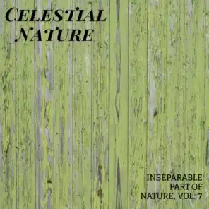 Celestial Nature - Inseparable Part of Nature, Vol. 7