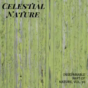 Celestial Nature - Inseparable Part of Nature, Vol. 10