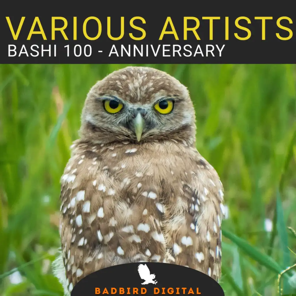 BASHI 100: Anniversary