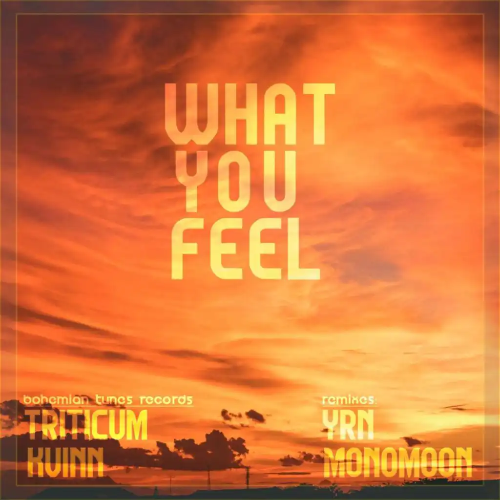 What You Feel (Monomoon Remix)