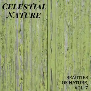 Celestial Nature - Beauties of Nature, Vol. 7