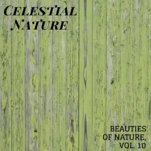 Celestial Nature - Beauties of Nature, Vol. 10