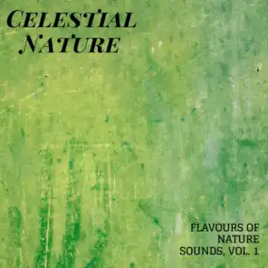 Celestial Nature - Flavours of Nature Sounds, Vol. 1