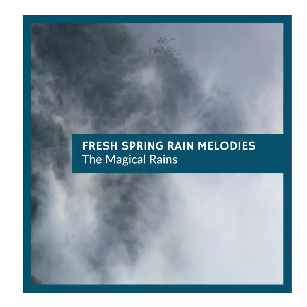 Crackly and Poppy Rain Studio