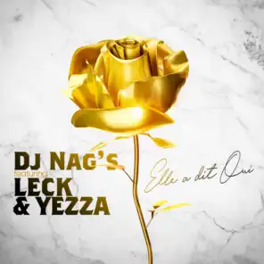 DJ Nag's