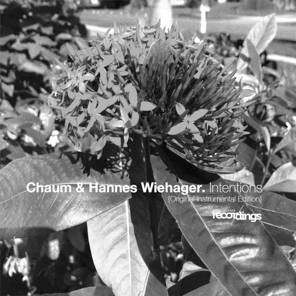 Intentions {Original Instrumental Edition}