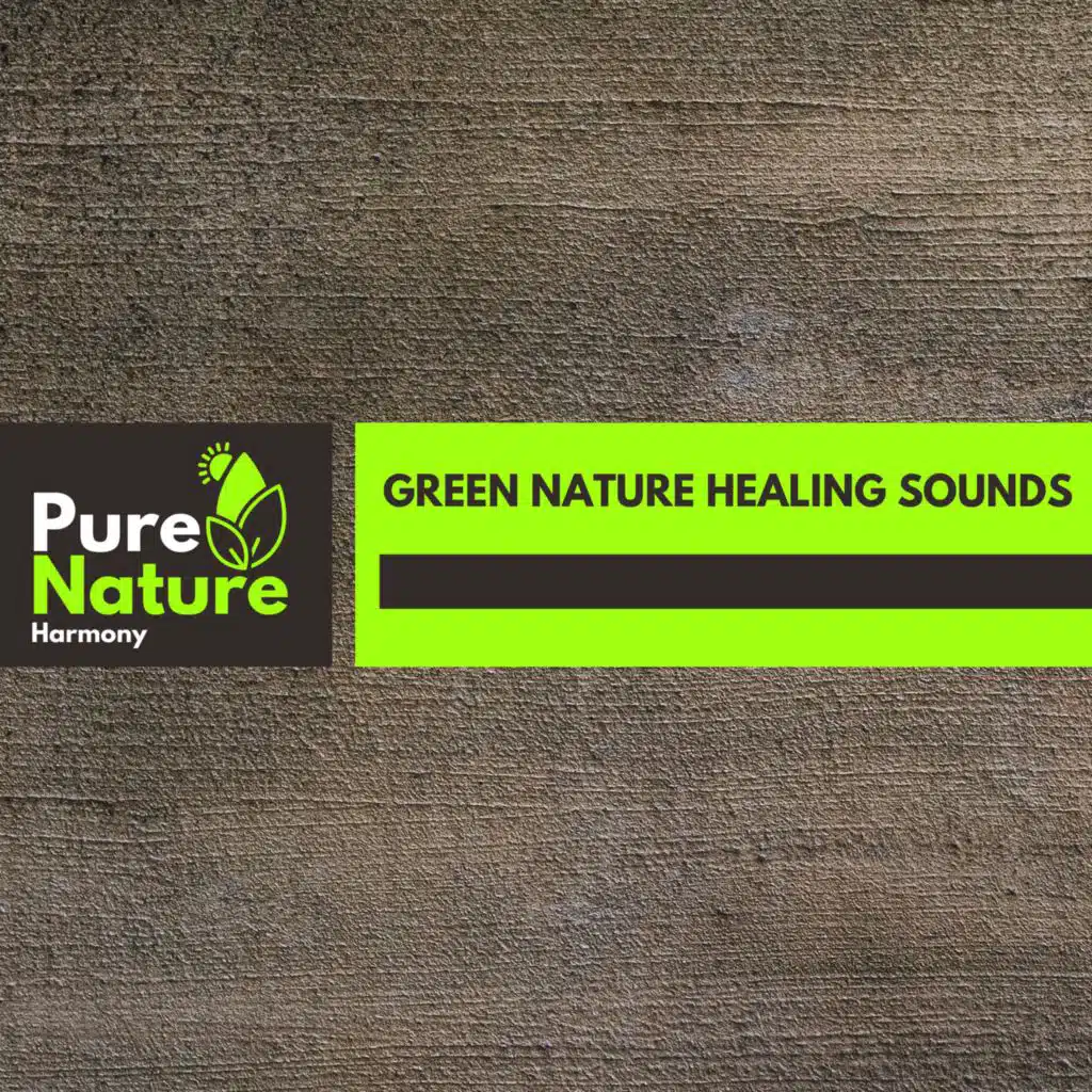 Rewind Nature Breathing Project