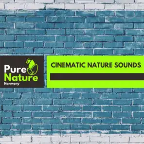 Cinematic Nature Sounds