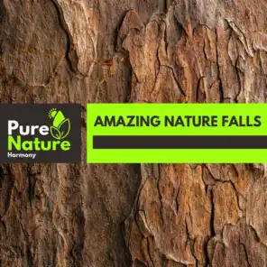 Amazing Nature Falls