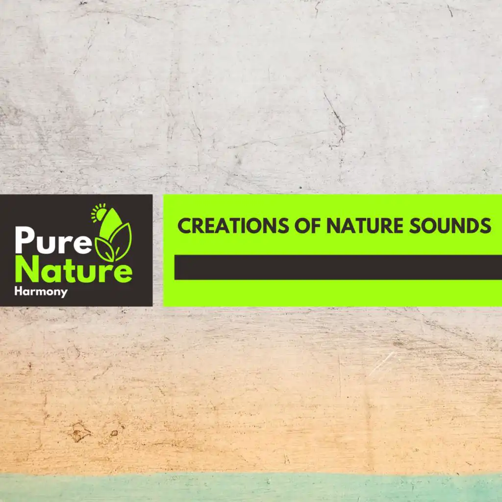 Creations of Nature Sounds