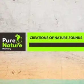 Creations of Nature Sounds