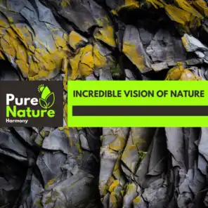Incredible Vision of Nature