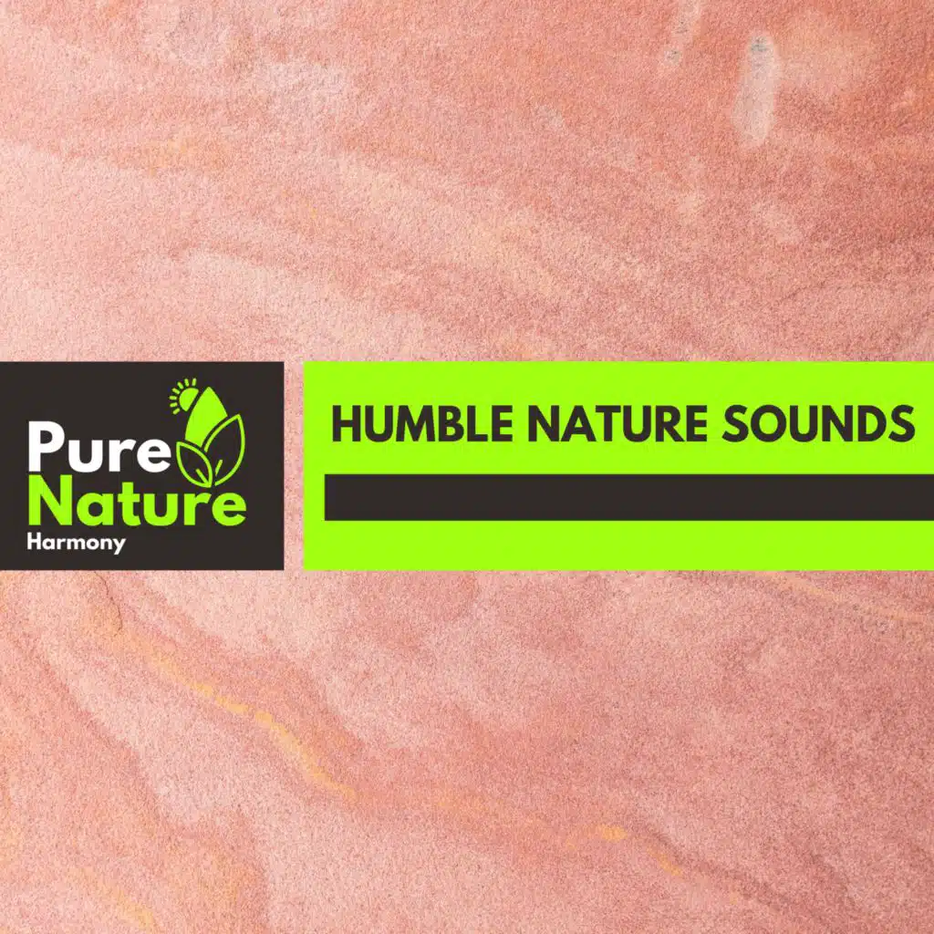 Mid Way Thunderstorm