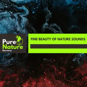 Fine Beauty of Nature Sounds