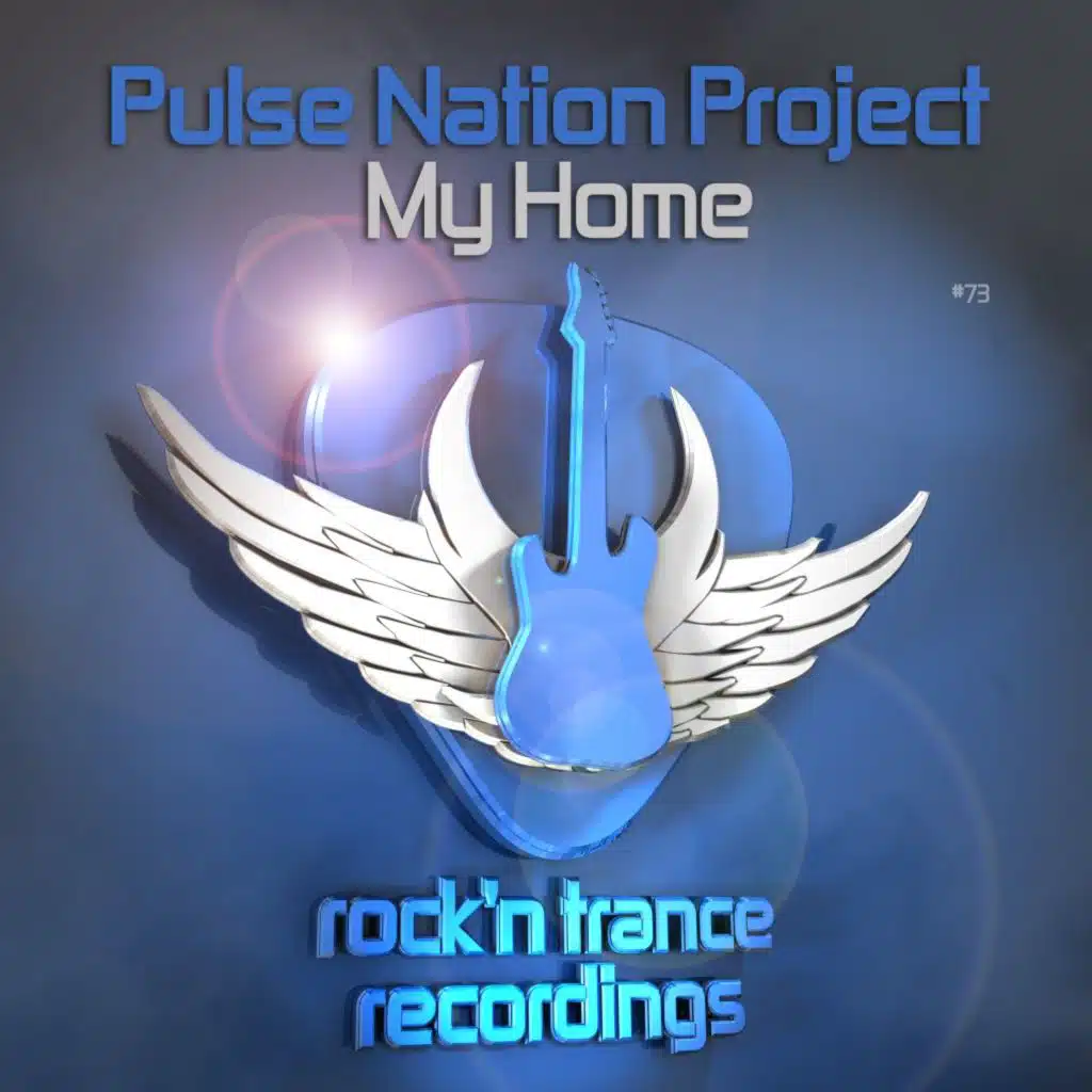 Pulse Nation Project