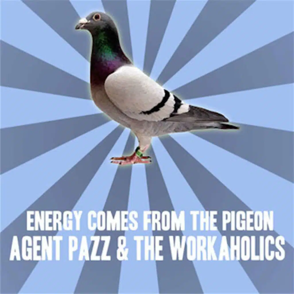 Energy Comes From The Pigeon