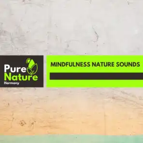 Mindfulness Nature Sounds