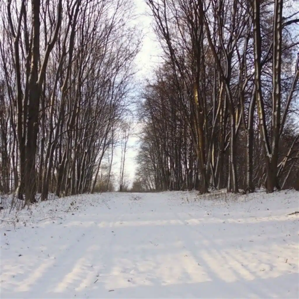 В будущее не хочу