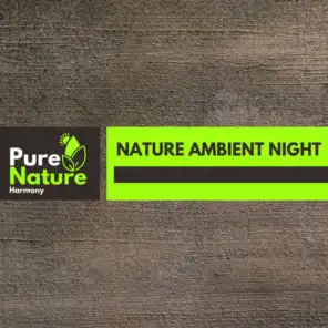 Nature Ambient Night