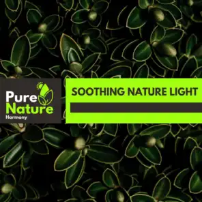 Soothing Nature Light