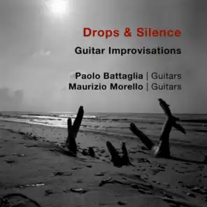 Drops and Silence (Guitar Improvisations)