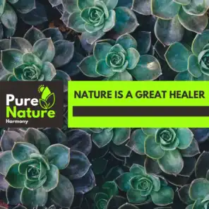 Nature is a Great Healer