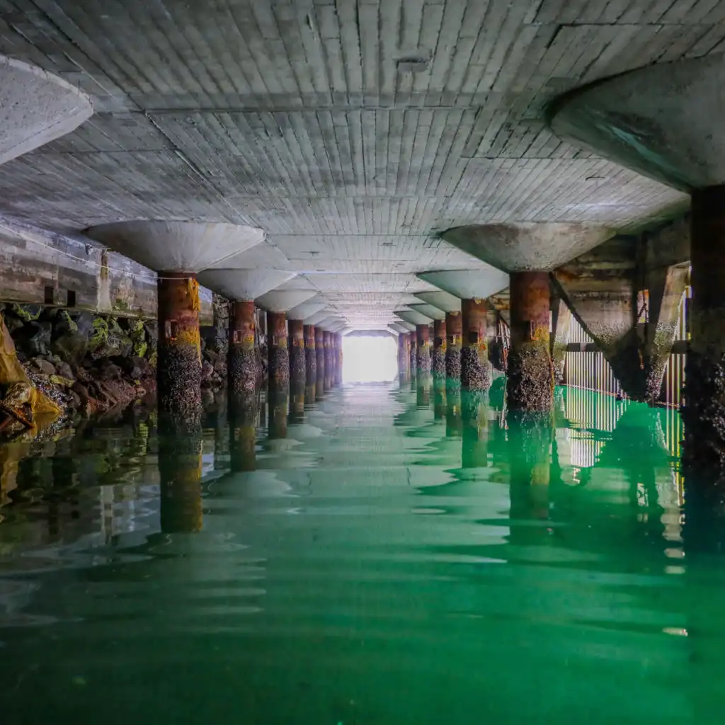 Melk i barten (Kellini Remix)