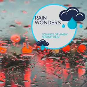Rain Wonders - Sounds of Anew Spring Rain