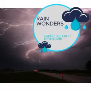 Rain Wonders - Sounds of Crisp Spring Rain