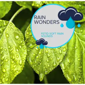Rain Wonders - Fetid Soft Rain Sounds