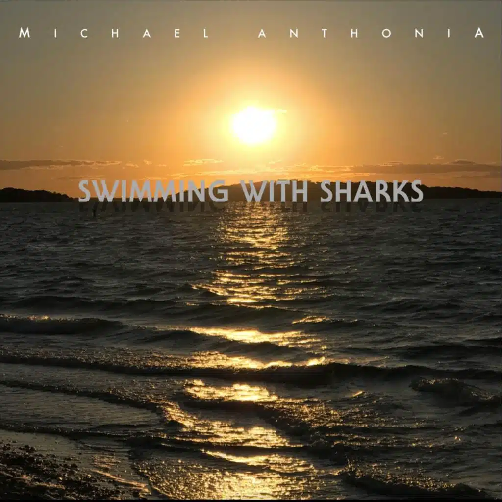 Swimming with Sharks